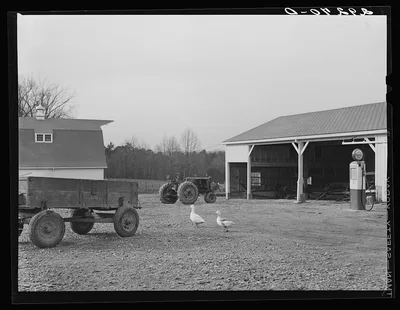 Photograph from North Carolina: Farm implement shed. Durham County, North Carolina