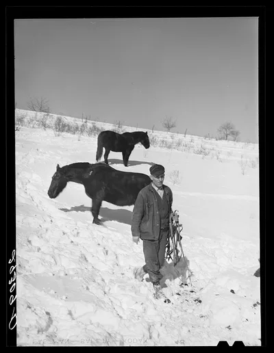 [Untitled photo, possibly related to: Horse on Ira Ison's farm. Ross…, Ohio, 1940