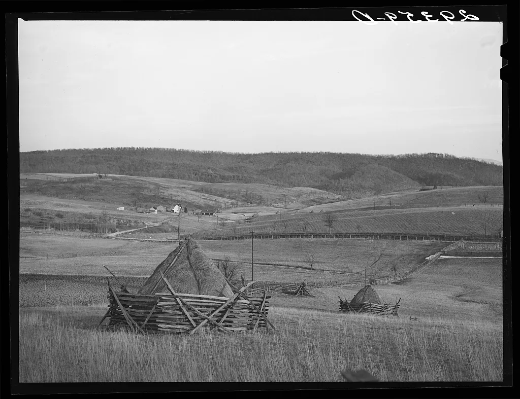 Haystacks. Mineral County, West Virginia, 1940