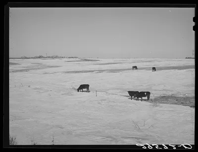 Farm. Hayes County, Nebraska, 1940