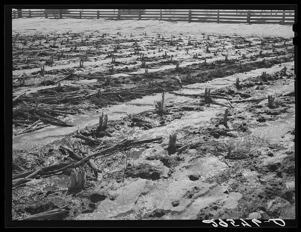 Melting snow. Hayes County, Nebraska, 1940
