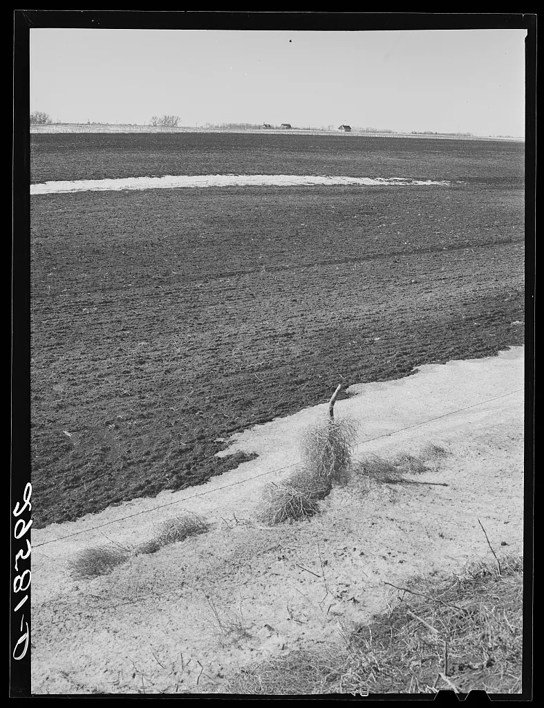 Farm. Hayes County, Nebraska, 1940