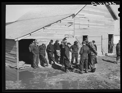 [Untitled photo, possibly related to: Farmers at Zimmerman auction…, Nebraska, 1940