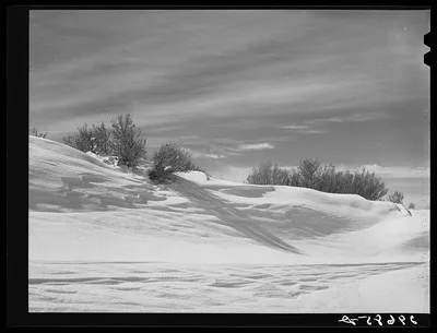 Snow on Emigrant Pass. Eureka County, Nevada, 1940