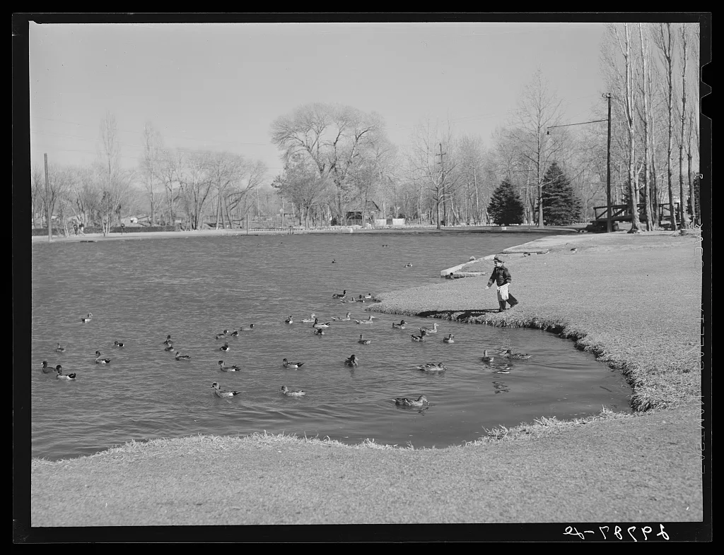 [Untitled photo, possibly related to: Feeding ducks in park. Reno,…, Nevada, 1940