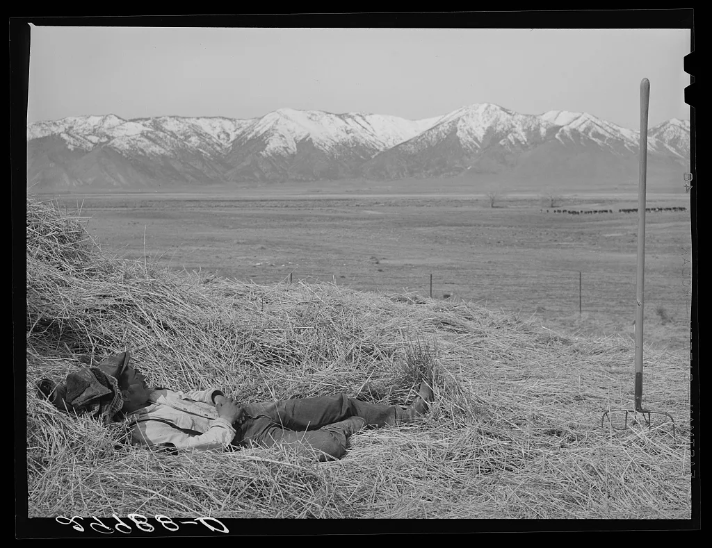 Ranchhand resting on haystack. Dangberg Ranch, Douglas County, Nevada, 1940