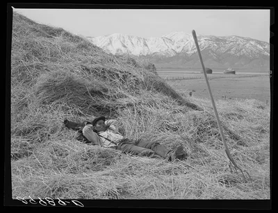 Ranchhand resting on haystack. Dangberg Ranch, Douglas County, Nevada, 1940