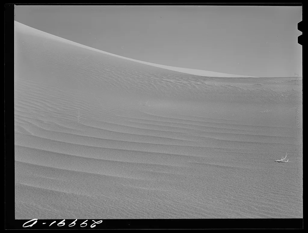 Sand dune. Nye County, Nevada, 1940